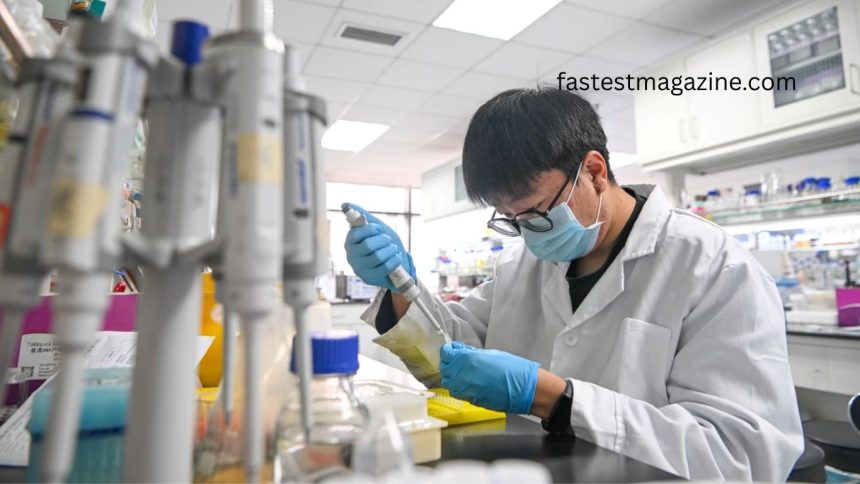 China Rises Boldly in the Global Talent Race, Challenging America’s Long-Standing Dominance
